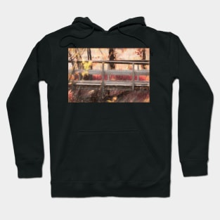 Walk in the park bridge illustration Hoodie